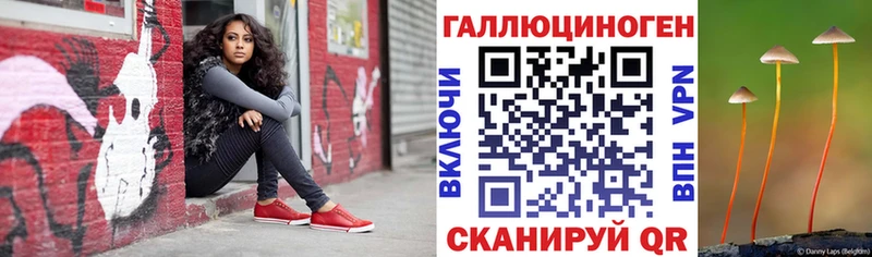 Псилоцибиновые грибы мицелий Краснотурьинск